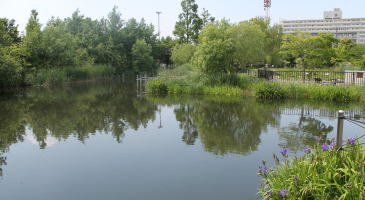 桑袋ビオトープ公園