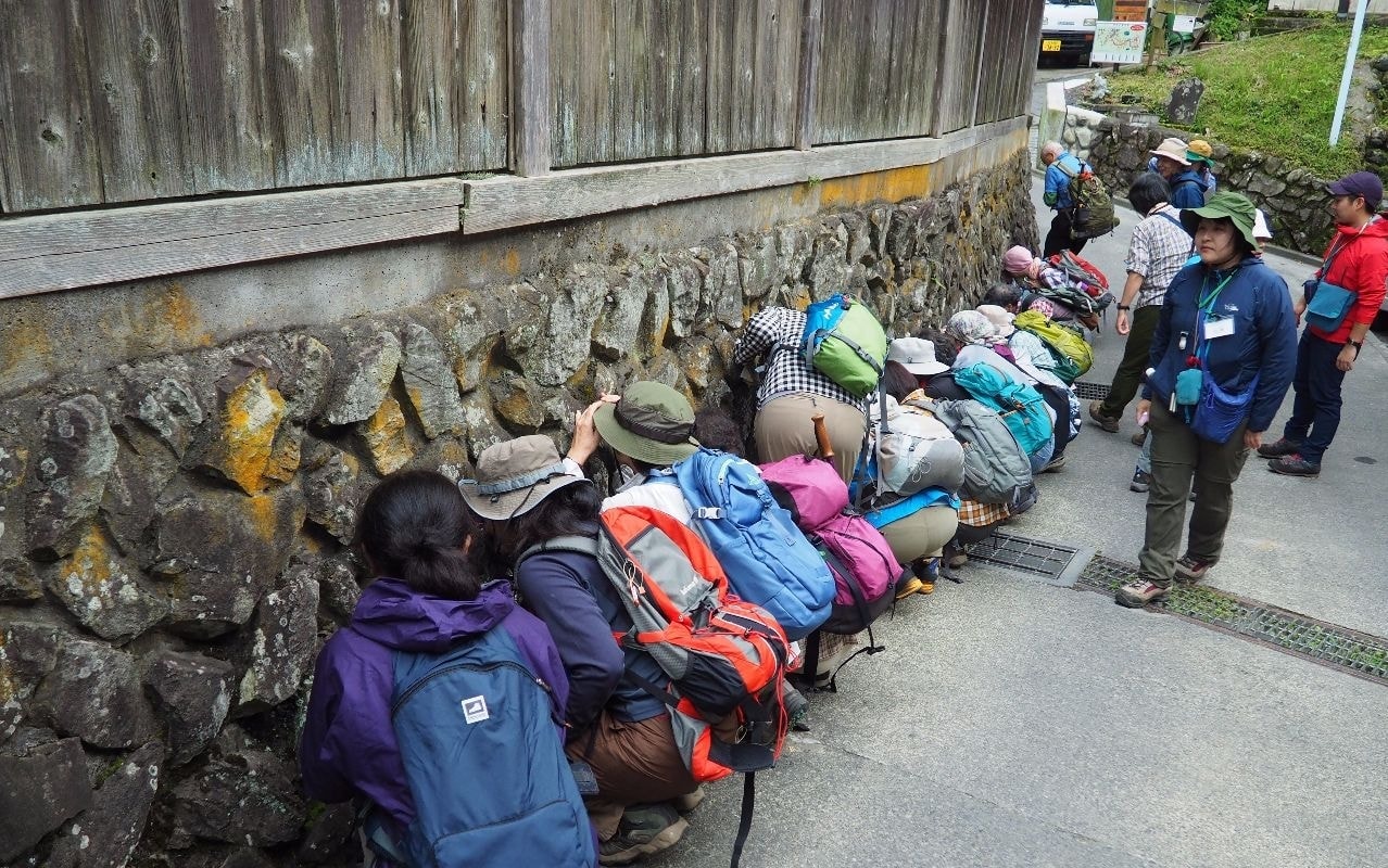 コケの観察会