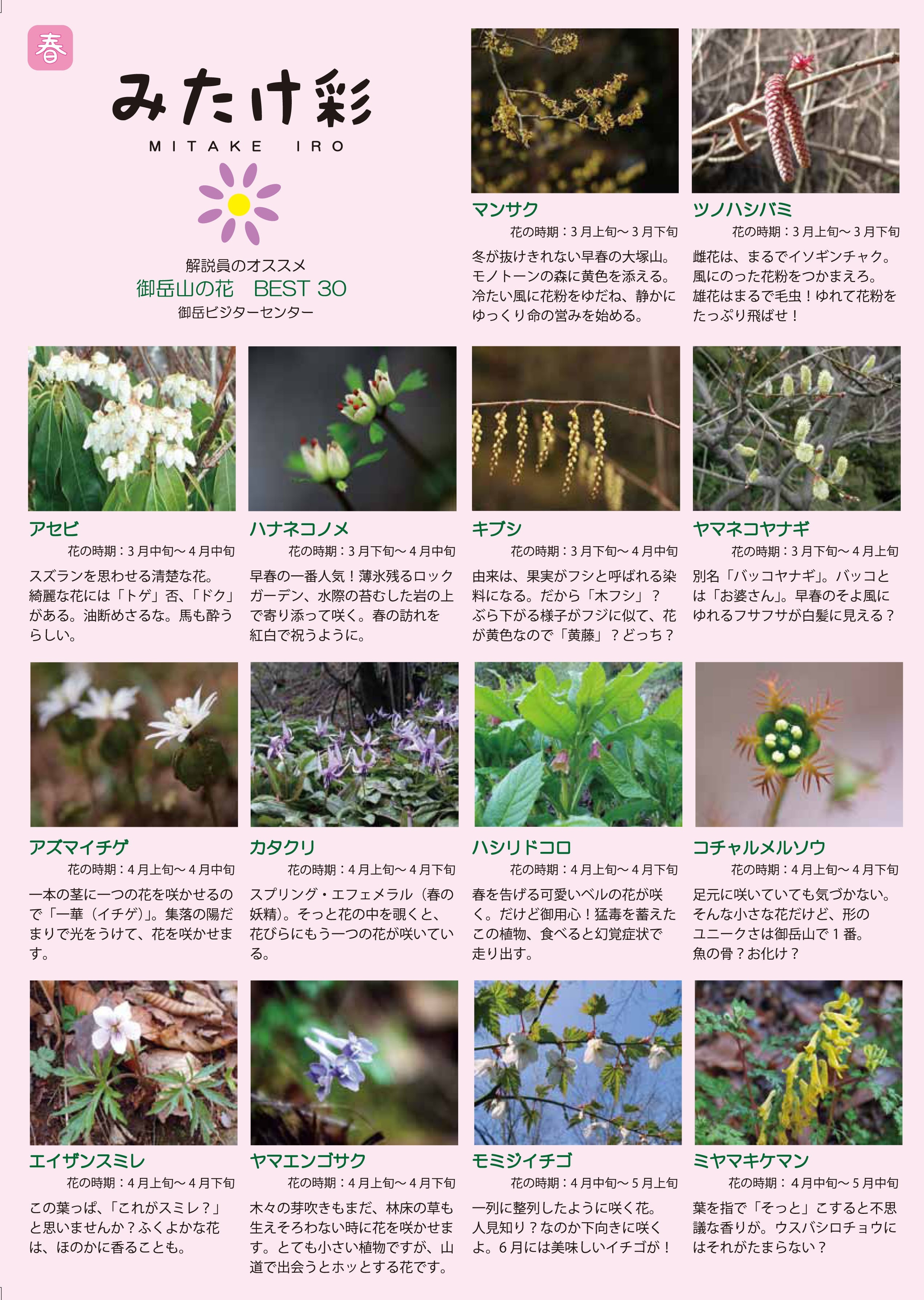 「みたけ彩」春の開花植物　表