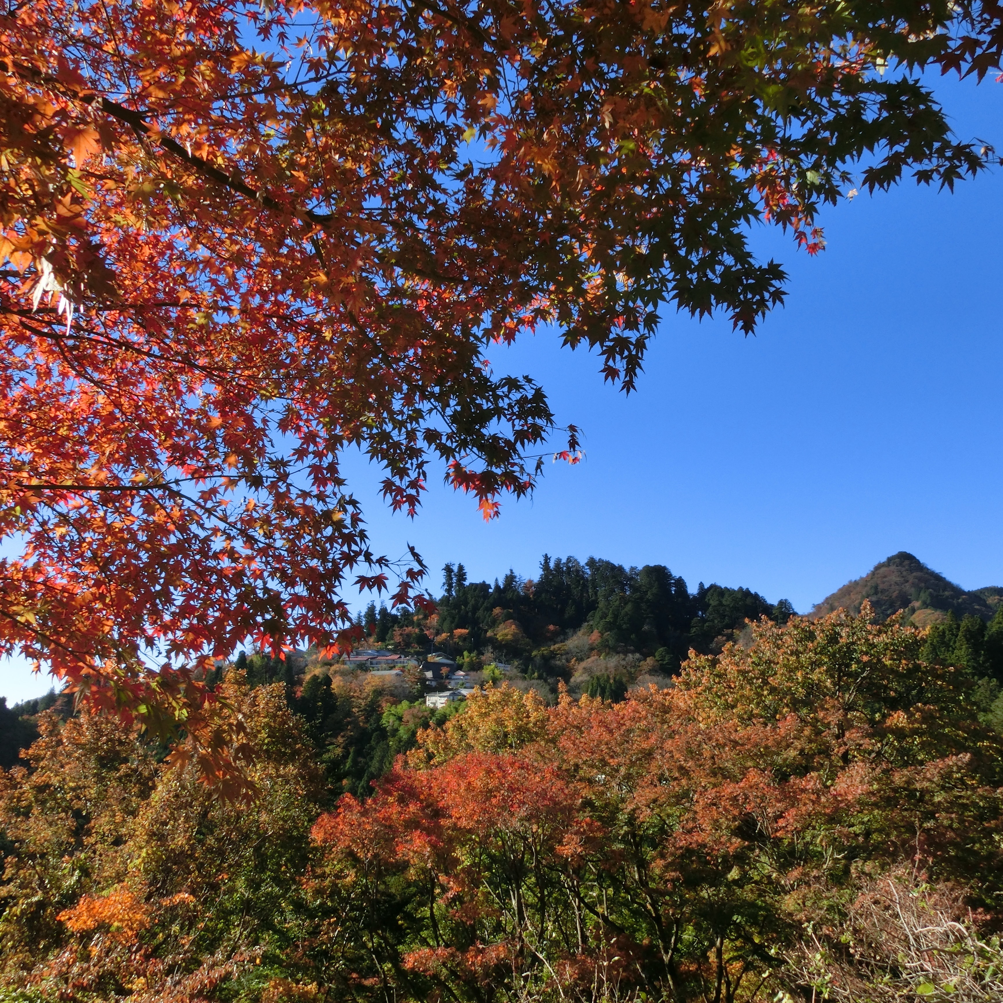秋空と紅葉と山