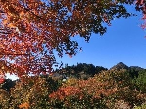 武蔵御嶽神社からの眺め
