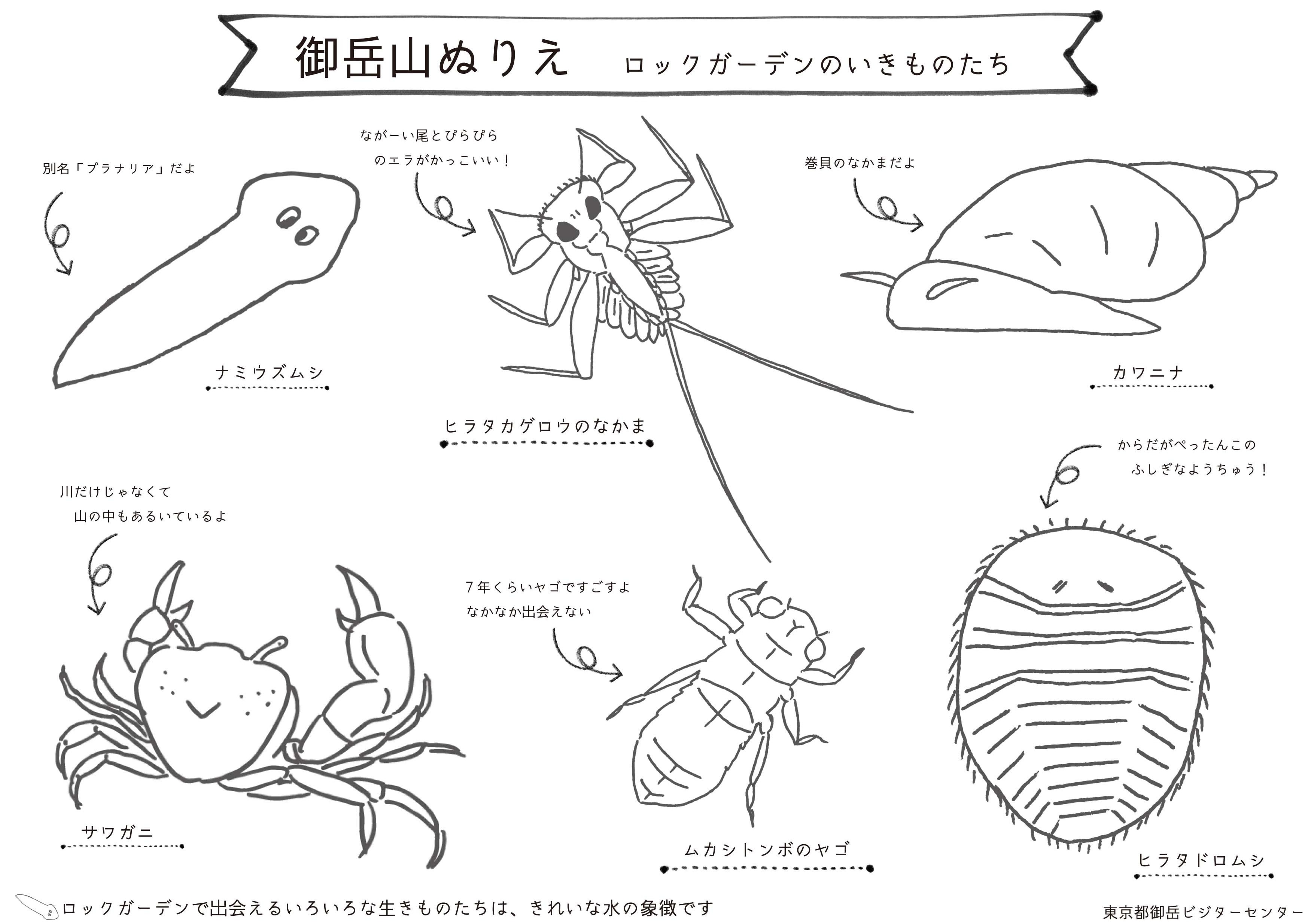 東京都御岳ビジターセンター 御岳山ぬりえ