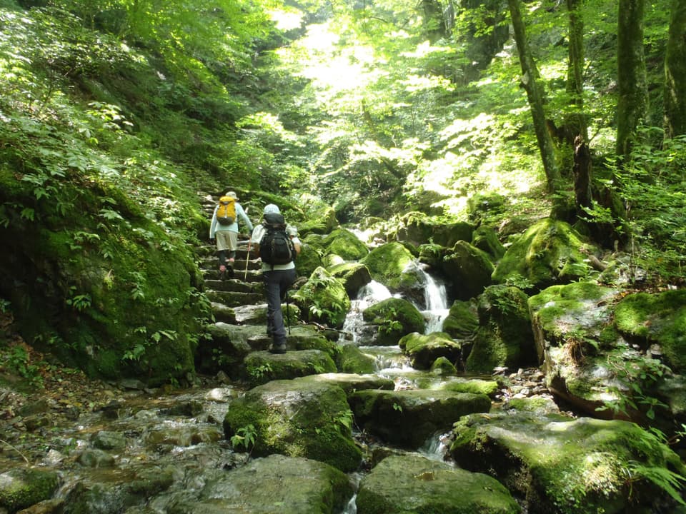 沢の飛び石と石段を歩いている登山客