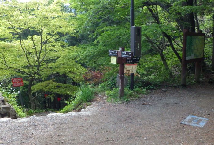 分岐道と道標