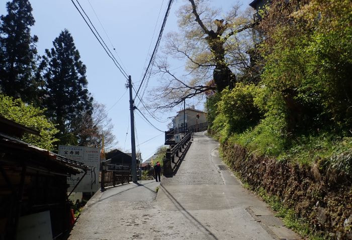 神代ケヤキの坂の下の分岐道