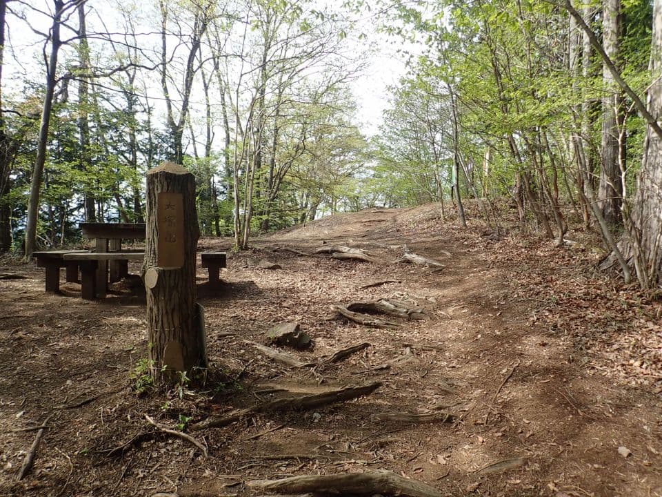 大塚山の木の柱