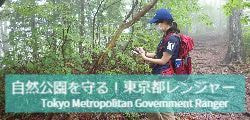 御岳山のニホンジカDeer on Mt,Mitake
