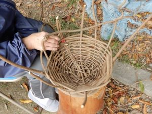 実施報告 公園の植物を使ったかご作り目黒区 花とみどりの学習館ブログ 目黒区 花とみどりの学習館ブログ