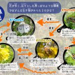 2020中目春のコピー