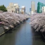 写真3.ふれあい橋方面から上流
