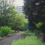 公園の園路