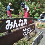 中目黒公園の赤花壇