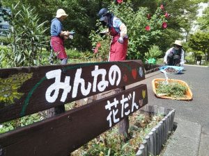 みんなの花壇はCGCがお手入れしています