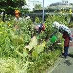 花壇の手入れをするボランティア