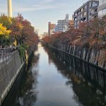 目黒川の桜紅葉