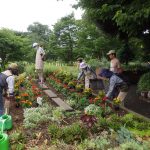 ボランティア活動体験の様子