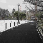 2026年2月8日中目黒公園の積雪　園路に雪はありません