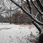 2026年2月8日中目黒公園原っぱには積雪があります