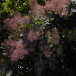 DSC03939