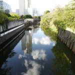 写真5