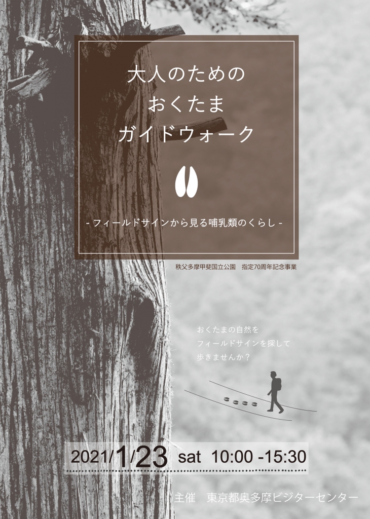 大人のためのおくたまガイドウォーク　チラシ表