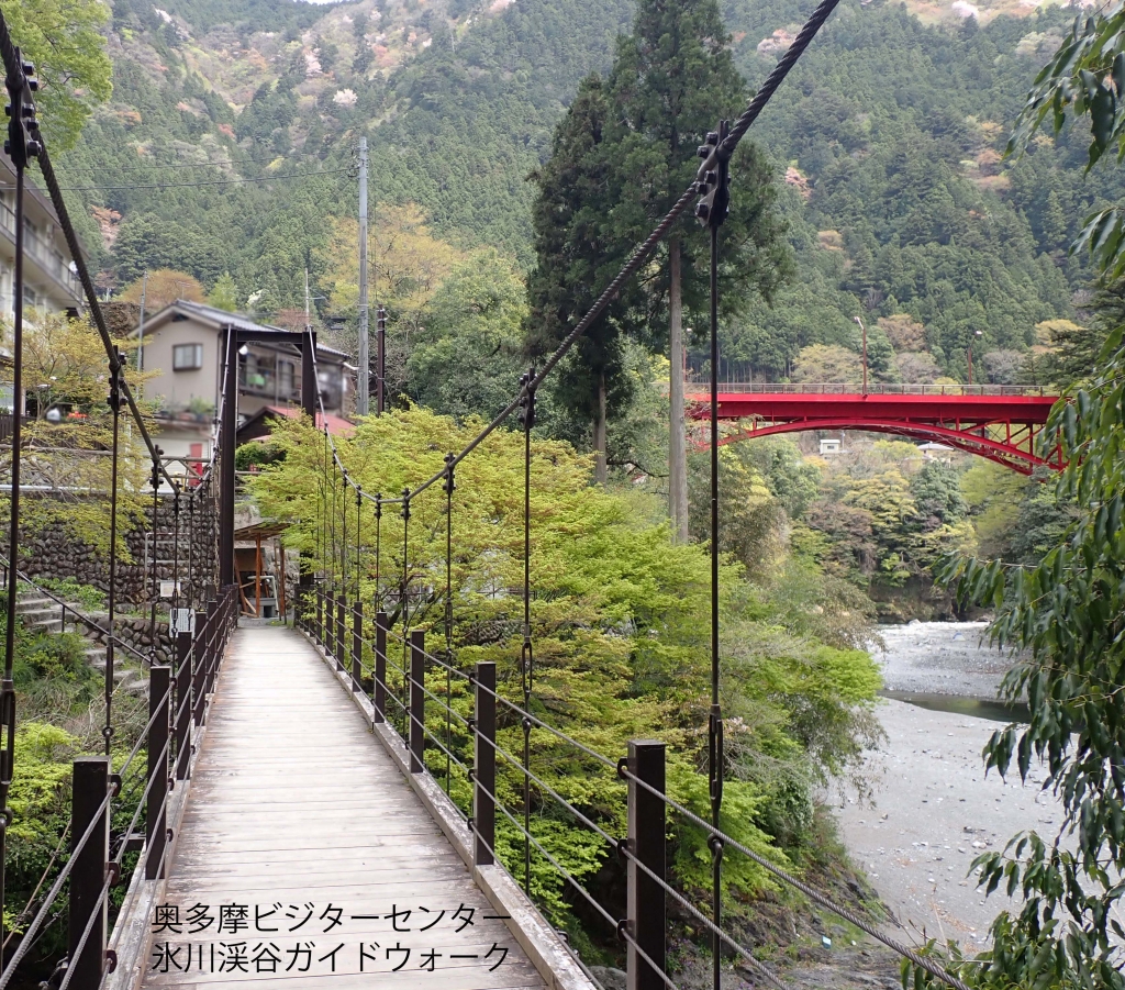 奥多摩ビジターセンター
氷川渓谷ガイドウォーク

氷川渓谷の写真