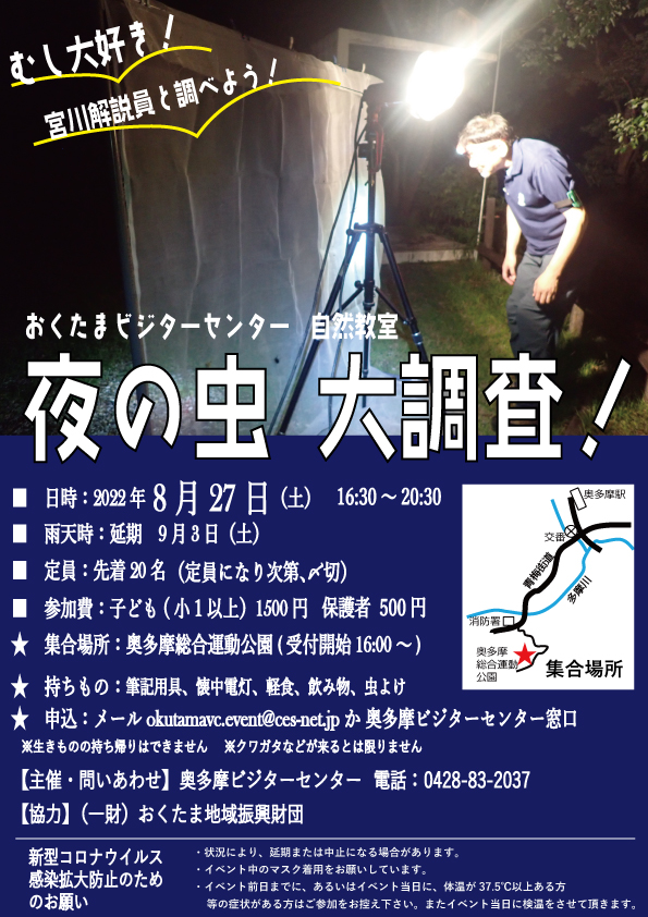夜の虫 大調査!のチラシの画像