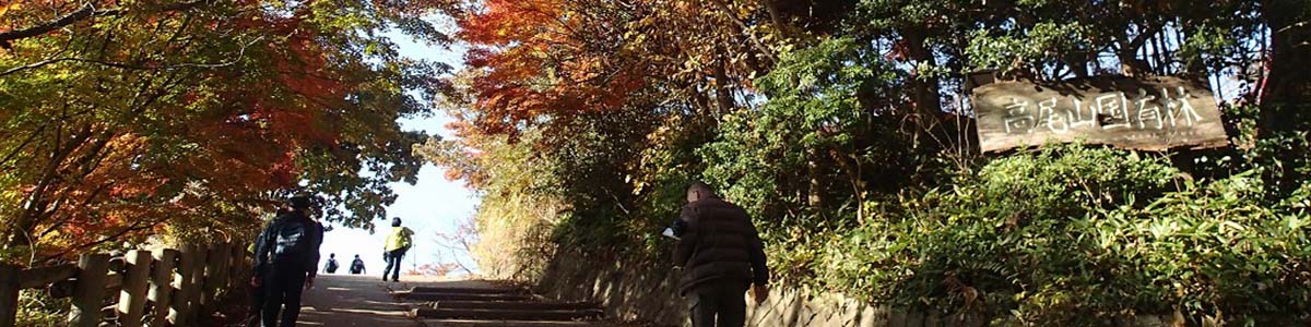 秋の登山道