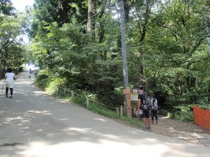 ①山頂直下の1号路両脇から道が続く　ここでは右奥の道へ入る