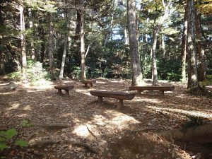 ⑥かしき谷園地には複数のベンチがあり、休憩できる