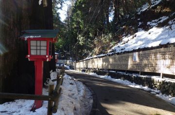 雪が残る大杉並木