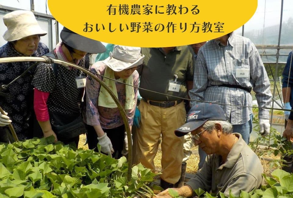 有機農業や野菜づくりの基礎を学ぶ 連続講座なども実施しています。